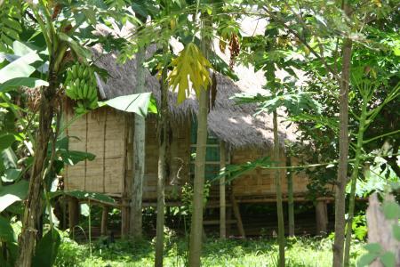 petite maison laosienne