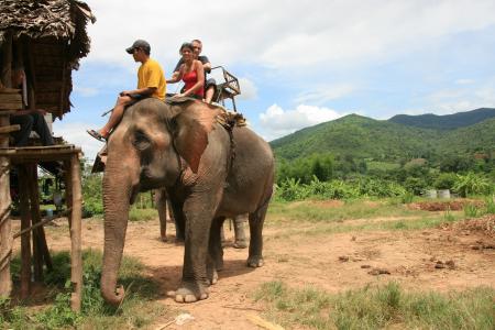 petit tour d elephant