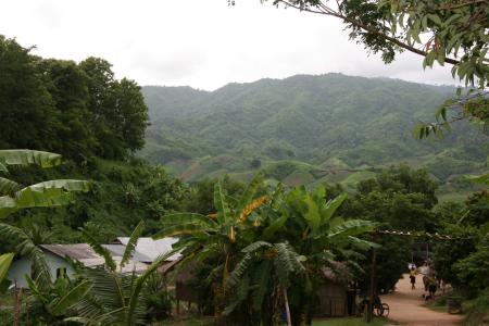 magnifique paysage