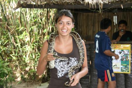 ses un python